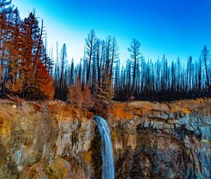 Preview wallpaper waterfall, cliff, trees, forest, landscape