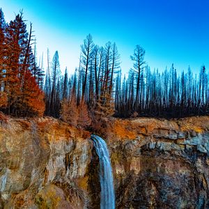 Preview wallpaper waterfall, cliff, trees, forest, landscape