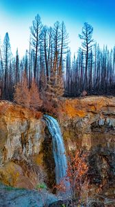 Preview wallpaper waterfall, cliff, trees, landscape, autumn