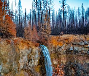 Preview wallpaper waterfall, cliff, trees, landscape, autumn