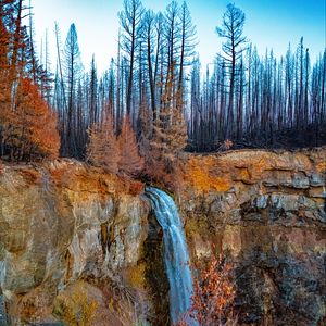 Preview wallpaper waterfall, cliff, trees, landscape, autumn