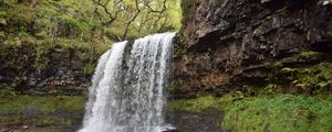 Preview wallpaper waterfall, cliff, trees, nature