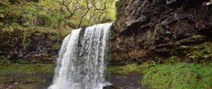 Preview wallpaper waterfall, cliff, trees, nature