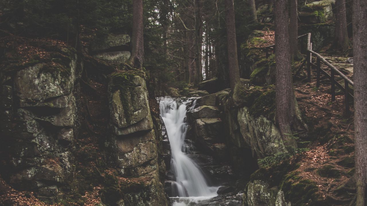 Wallpaper waterfall, current, forest, trees, stones