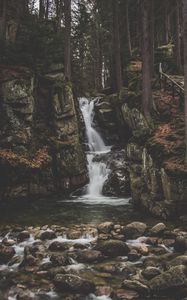 Preview wallpaper waterfall, current, forest, trees, stones