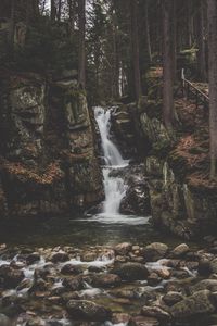 Preview wallpaper waterfall, current, forest, trees, stones