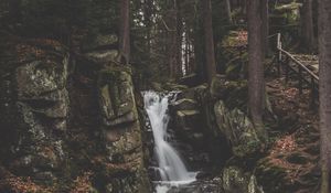 Preview wallpaper waterfall, current, forest, trees, stones