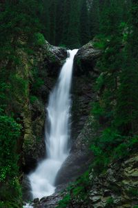 Preview wallpaper waterfall, current, trees, stones