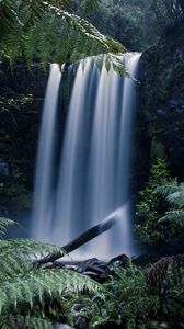 Preview wallpaper waterfall, fern, branches, landscape