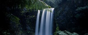 Preview wallpaper waterfall, fern, branches, landscape