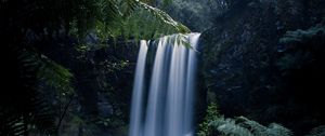 Preview wallpaper waterfall, fern, branches, landscape