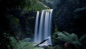 Preview wallpaper waterfall, fern, branches, landscape