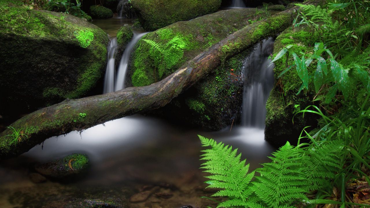 Wallpaper waterfall, fern, stones, moss