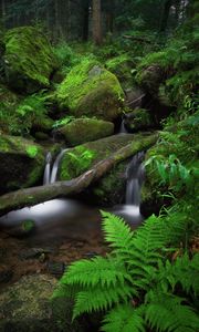 Preview wallpaper waterfall, fern, stones, moss