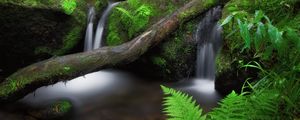 Preview wallpaper waterfall, fern, stones, moss