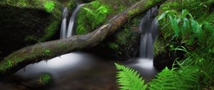 Preview wallpaper waterfall, fern, stones, moss