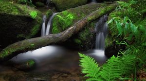 Preview wallpaper waterfall, fern, stones, moss