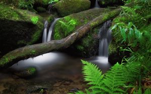 Preview wallpaper waterfall, fern, stones, moss