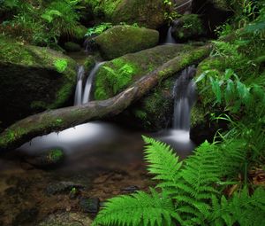 Preview wallpaper waterfall, fern, stones, moss