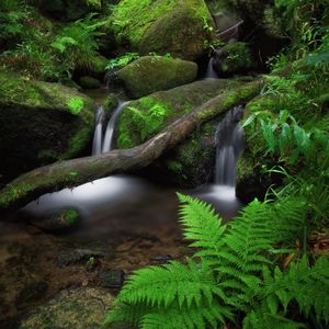 Preview wallpaper waterfall, fern, stones, moss