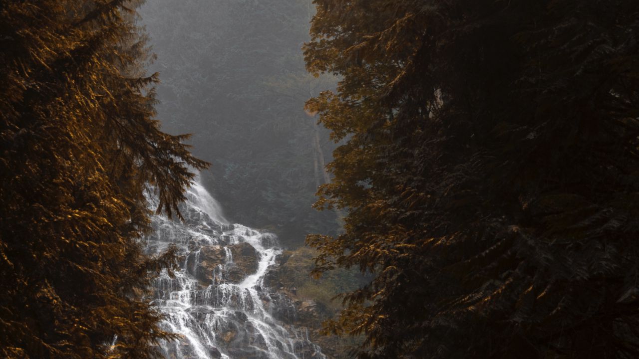 Wallpaper waterfall, flow, fog, branches, trees