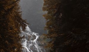 Preview wallpaper waterfall, flow, fog, branches, trees