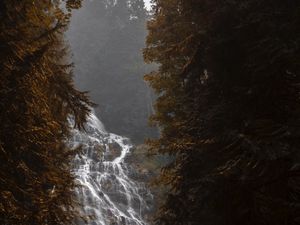 Preview wallpaper waterfall, flow, fog, branches, trees