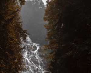 Preview wallpaper waterfall, flow, fog, branches, trees