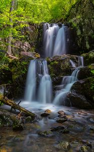 Preview wallpaper waterfall, flow, stones, driftwood