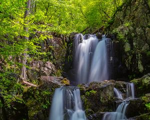 Preview wallpaper waterfall, flow, stones, driftwood