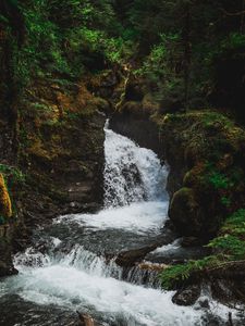 Preview wallpaper waterfall, flow, stream, trees