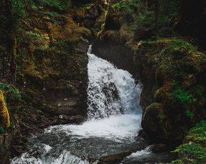 Preview wallpaper waterfall, flow, stream, trees