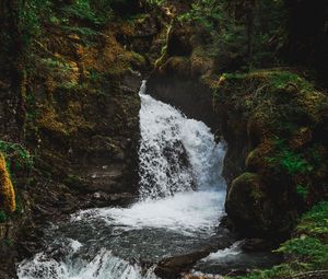 Preview wallpaper waterfall, flow, stream, trees