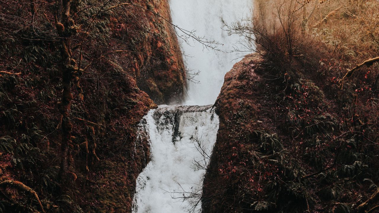 Wallpaper waterfall, flow, water, grass, branches, autumn