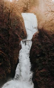 Preview wallpaper waterfall, flow, water, grass, branches, autumn