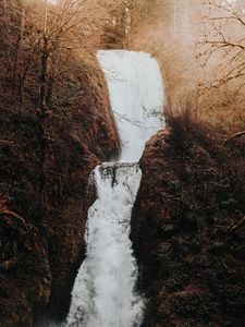 Preview wallpaper waterfall, flow, water, grass, branches, autumn