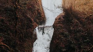 Preview wallpaper waterfall, flow, water, grass, branches, autumn