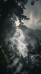 Preview wallpaper waterfall, fog, branches, current, break, rock