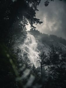 Preview wallpaper waterfall, fog, branches, current, break, rock