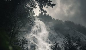 Preview wallpaper waterfall, fog, branches, current, break, rock