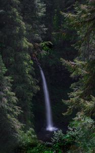 Preview wallpaper waterfall, forest, landscape, nature, trees