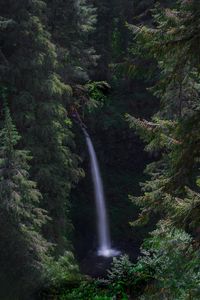 Preview wallpaper waterfall, forest, landscape, nature, trees