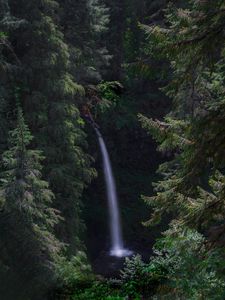 Preview wallpaper waterfall, forest, landscape, nature, trees