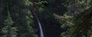 Preview wallpaper waterfall, forest, landscape, nature, trees