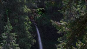 Preview wallpaper waterfall, forest, landscape, nature, trees