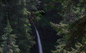 Preview wallpaper waterfall, forest, landscape, nature, trees