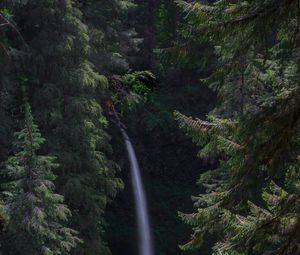 Preview wallpaper waterfall, forest, landscape, nature, trees