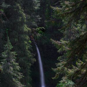 Preview wallpaper waterfall, forest, landscape, nature, trees