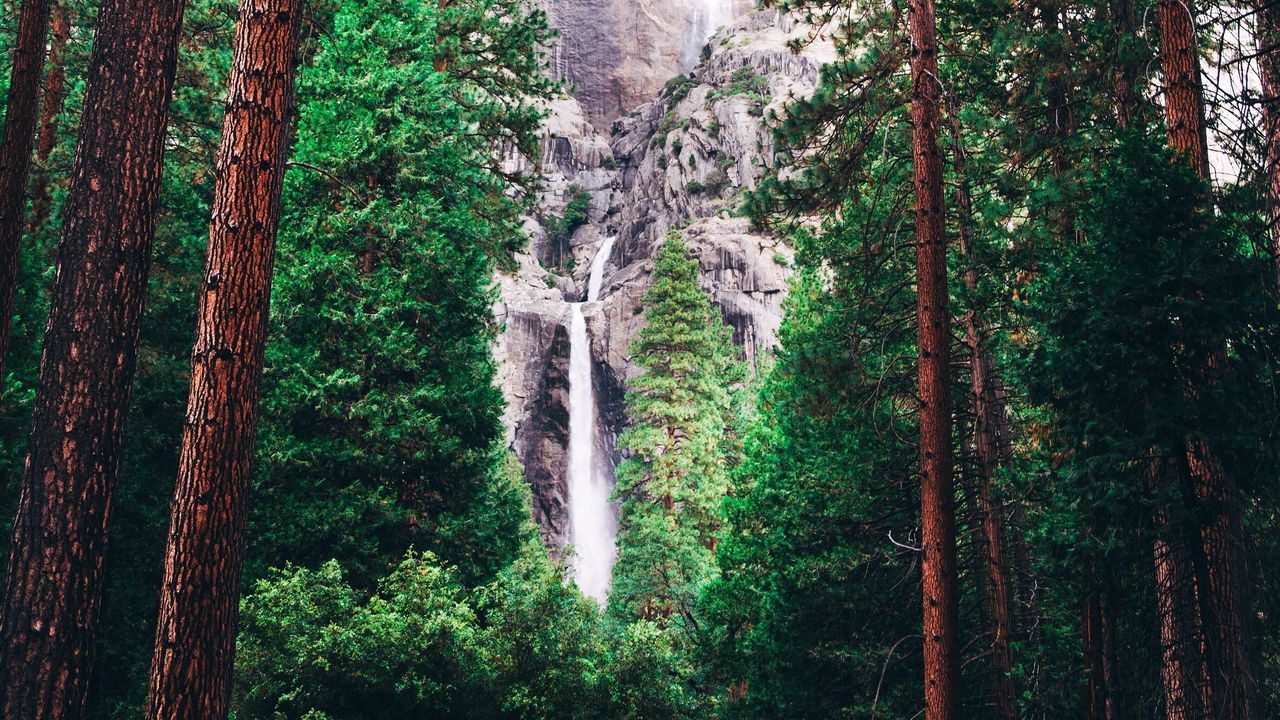 Wallpaper waterfall, forest, trees