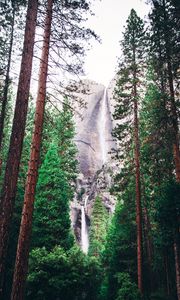 Preview wallpaper waterfall, forest, trees